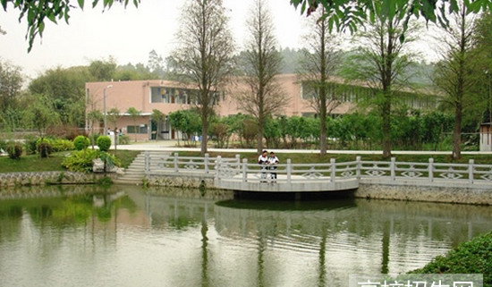 乐山市欣欣艺术职业学校 乐山市欣欣艺术职业学校