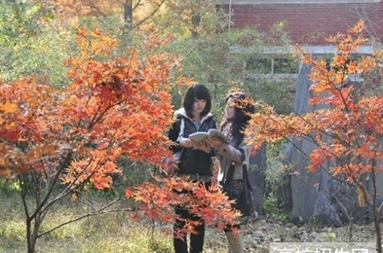 四川省男生读英语教育专业好吗?好就业吗