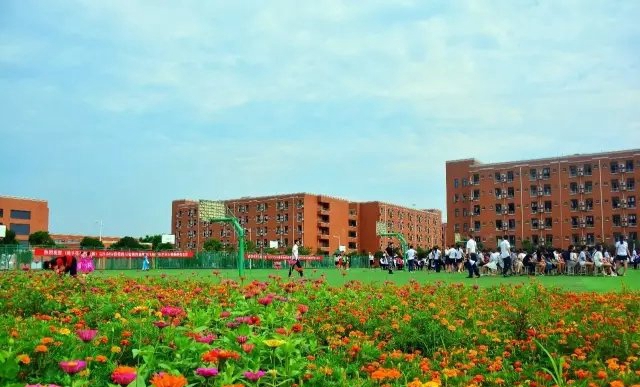 女孩子学什么专业有前途